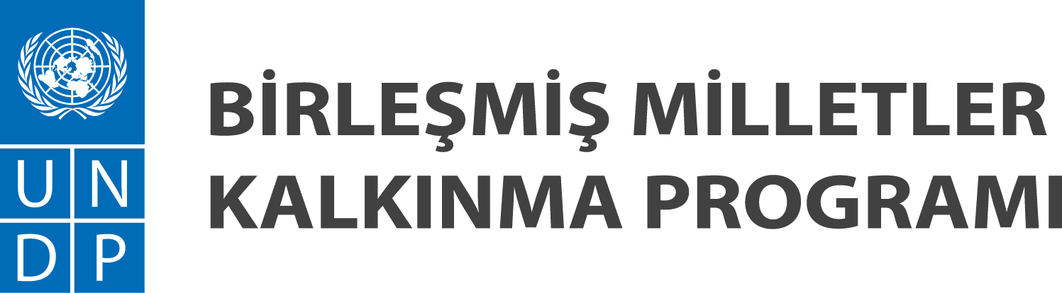 UNDP